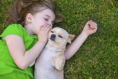 Little girl whispers to puppy